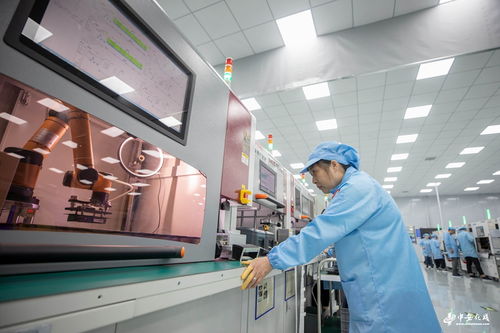 安徽合肥 汽車電子研發(fā)生產忙，計算機軟件技術服務賦能產業(yè)新生態(tài)
