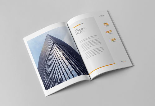 簡約大氣，專業(yè)信賴 商務(wù)咨詢與投資企業(yè)公司畫冊(cè)